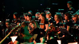 Slovenski nacionalni mladinski orkester