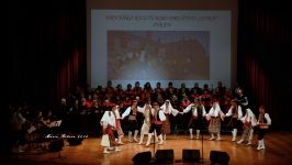 Festival etničnih skupin