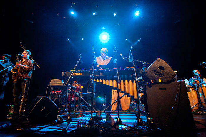 Mojster za vibrafonom (foto: Nada Žgank)