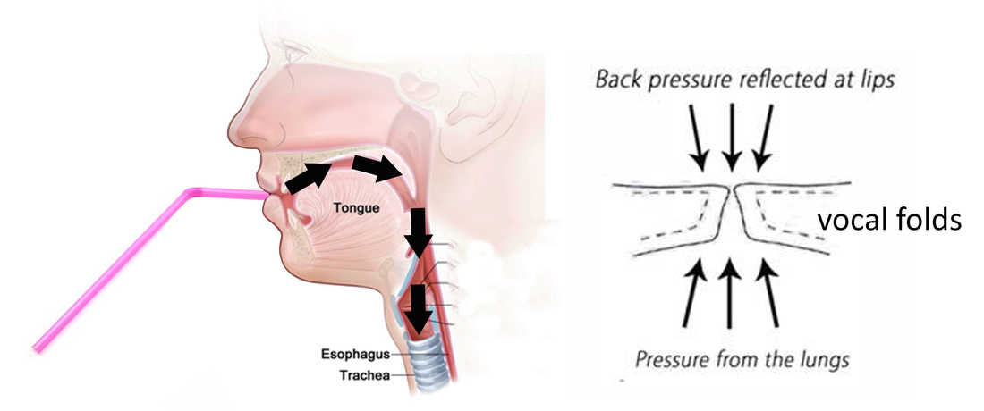 © Voice Science Works