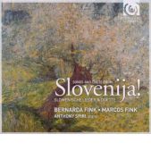 Slovenija! Slovenija!